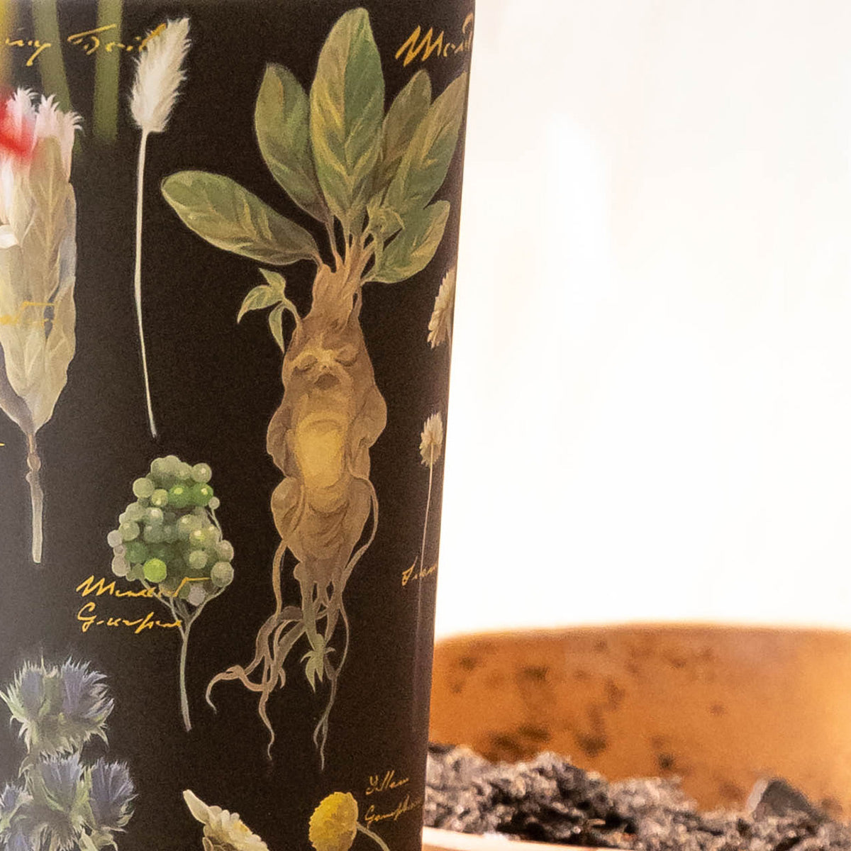 harry-potter-cold-cup-h1 Herbology-3.jpg